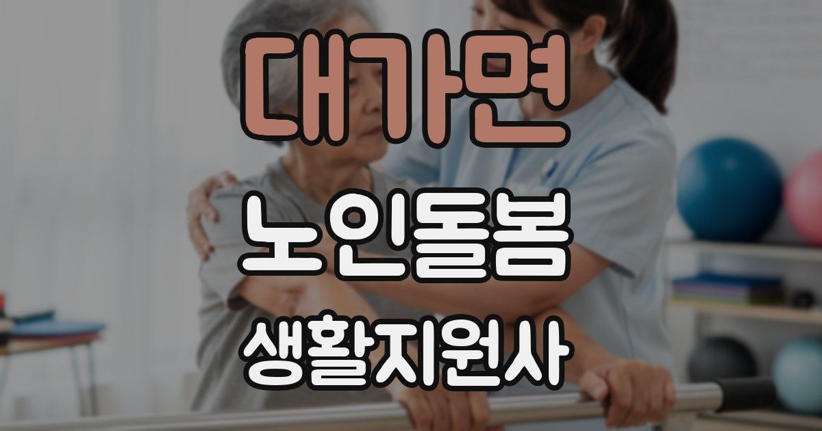 대가면 노인돌봄생활지원사 자격증