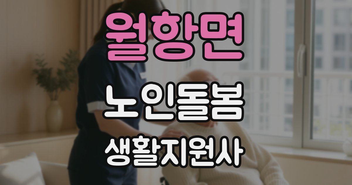 월항면 노인돌봄생활지원사 자격증