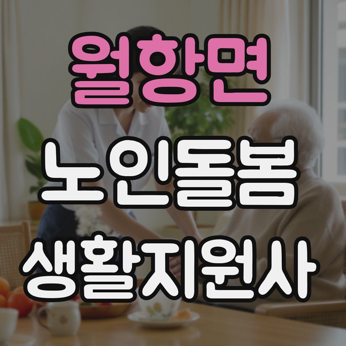 월항면 노인돌봄생활지원사 자격증