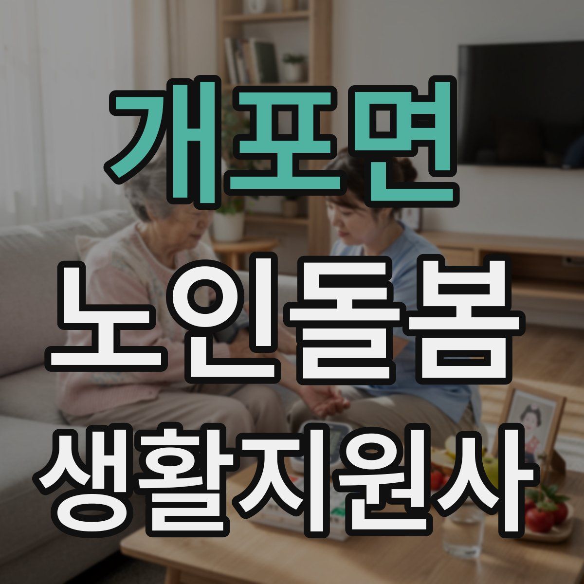 개포면 노인돌봄생활지원사 자격증