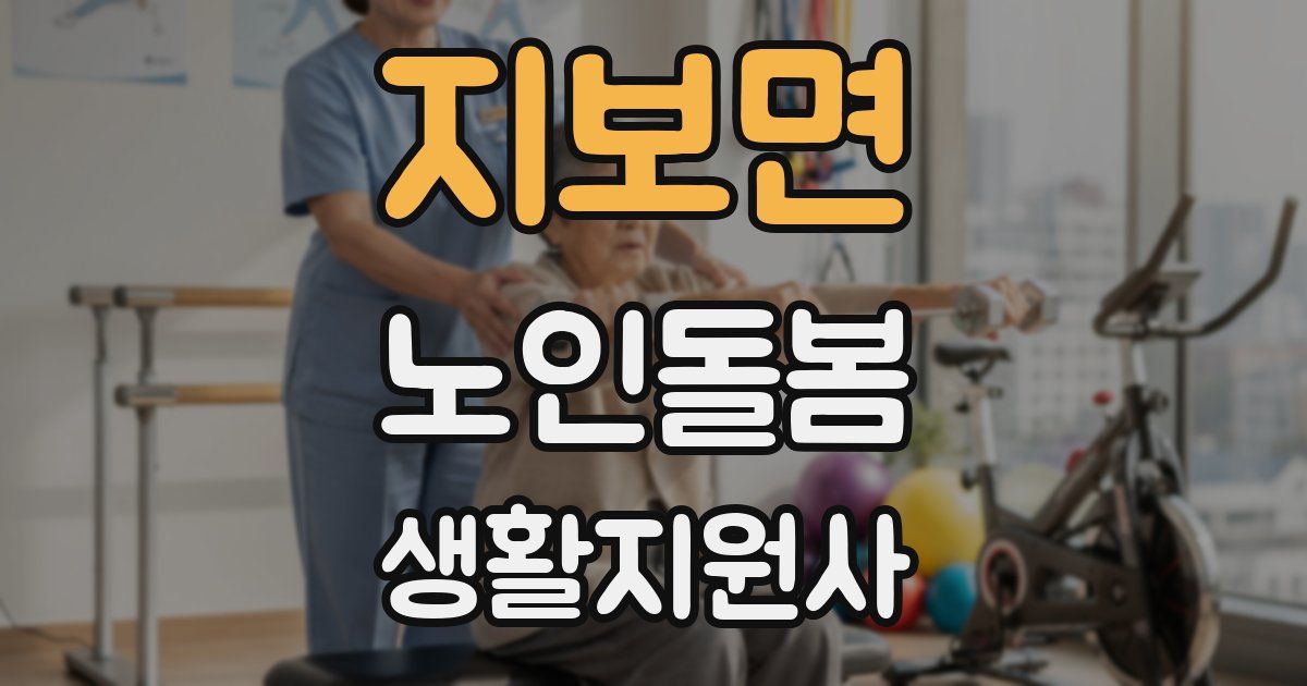 지보면 노인돌봄생활지원사 자격증
