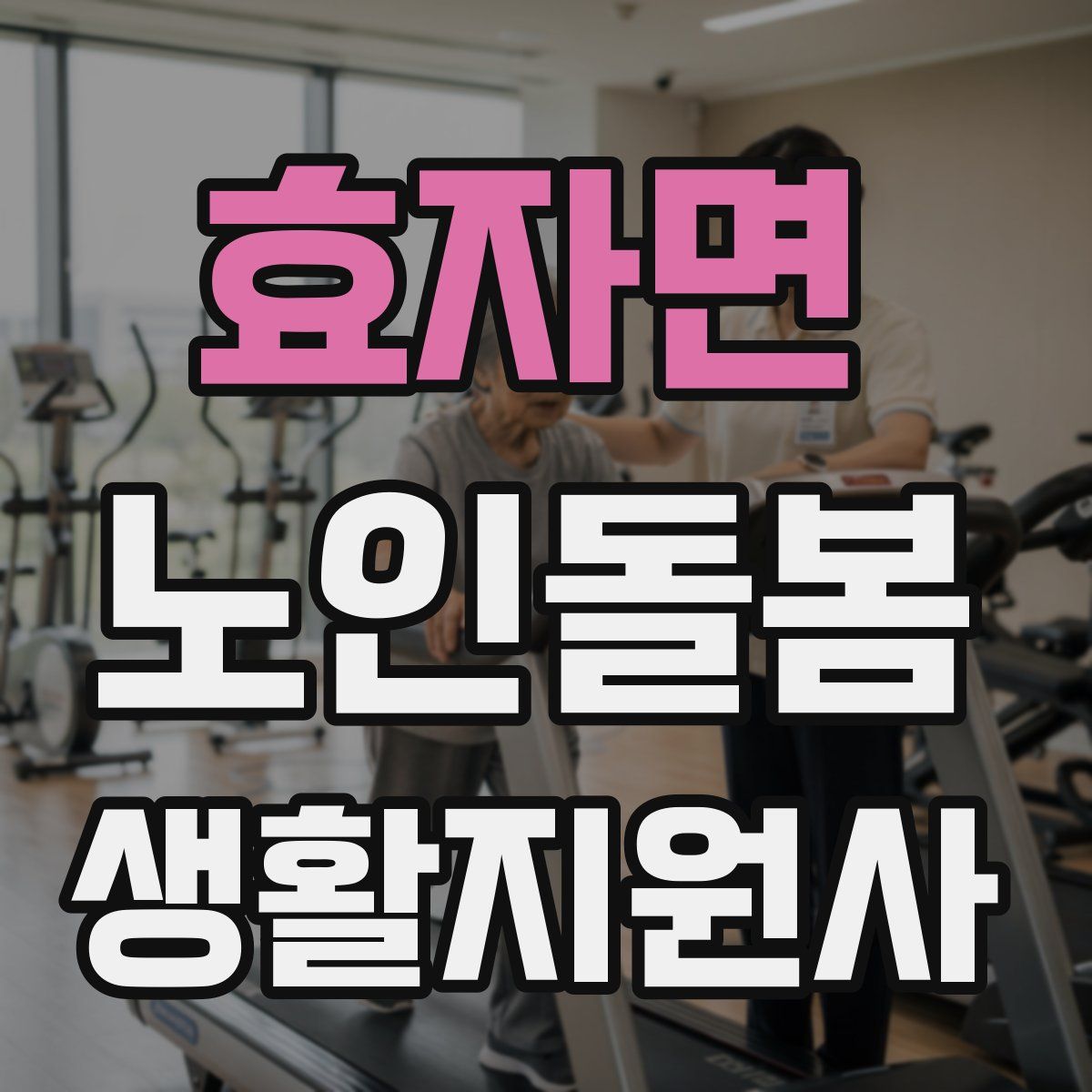 효자면 노인돌봄생활지원사 자격증
