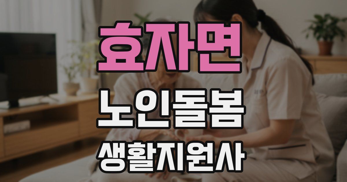 효자면 노인돌봄생활지원사 자격증