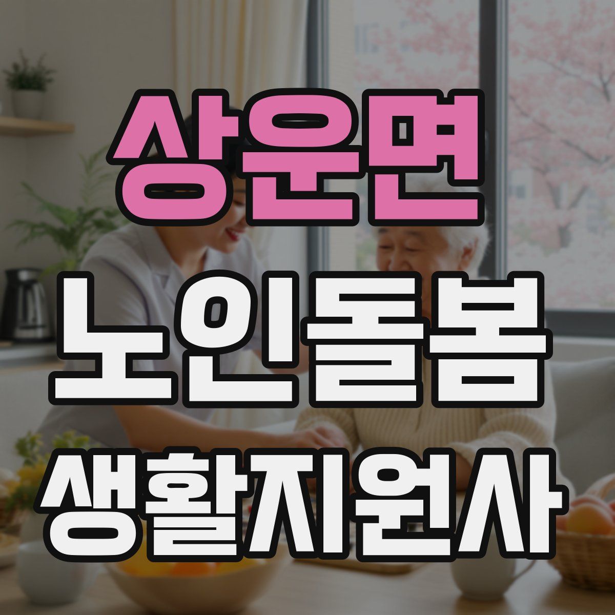 상운면 노인돌봄생활지원사 자격증