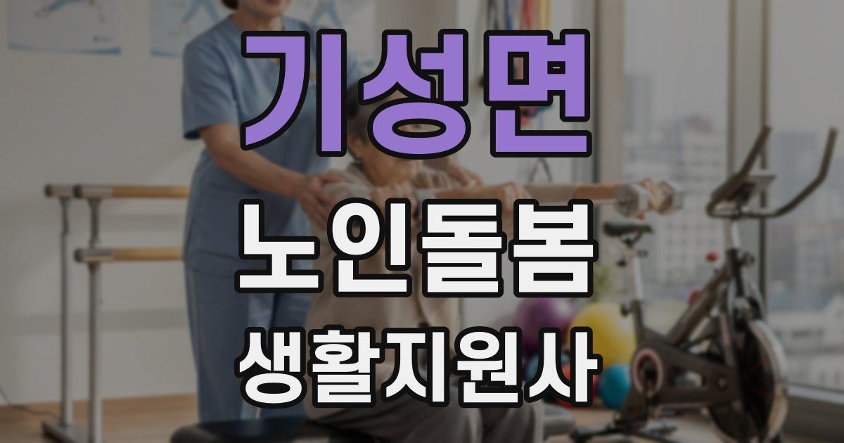 기성면 노인돌봄생활지원사 자격증