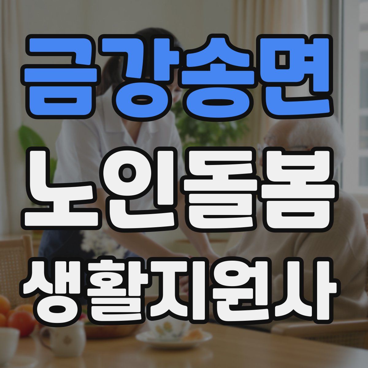 금강송면 노인돌봄생활지원사 자격증