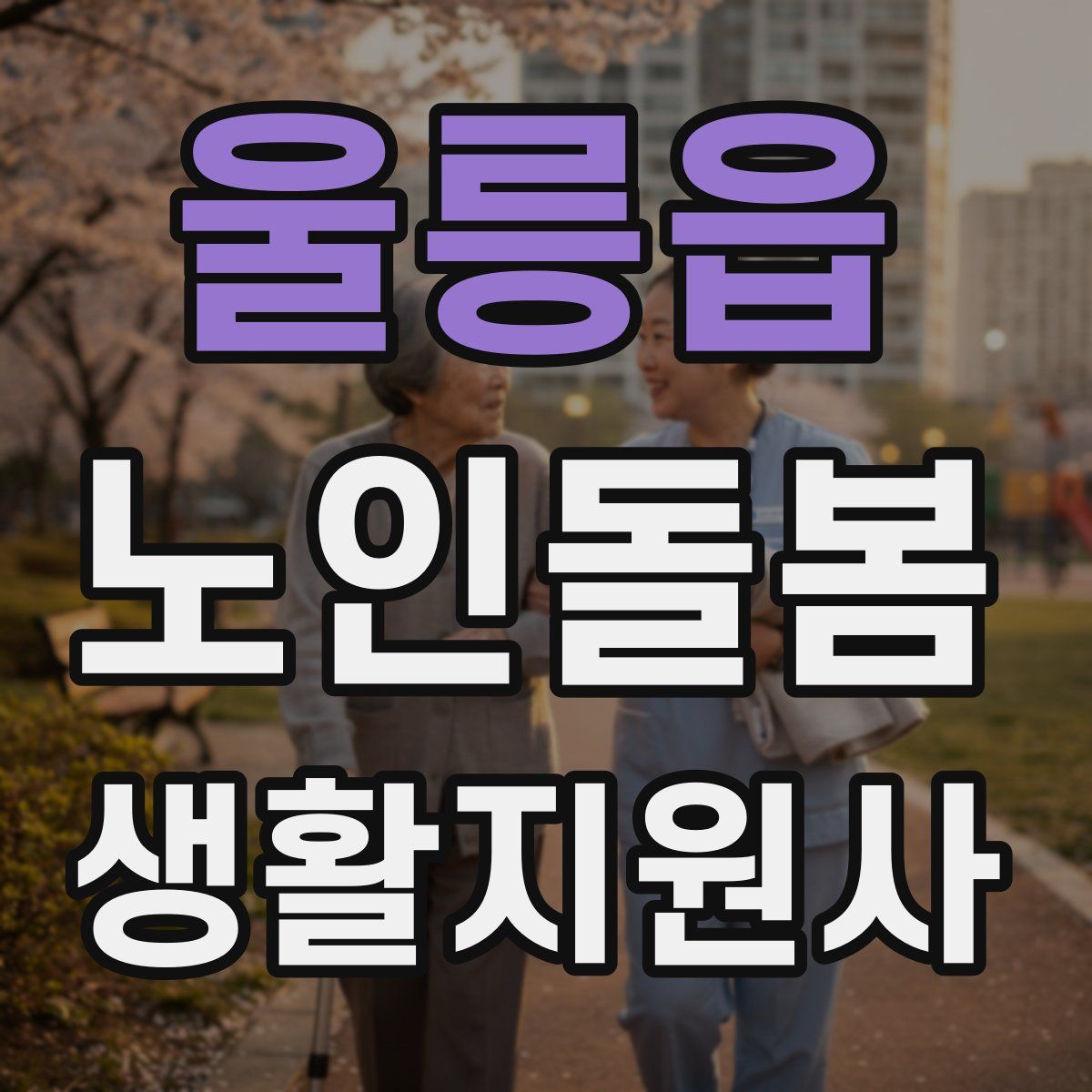 울릉읍 노인돌봄생활지원사 자격증