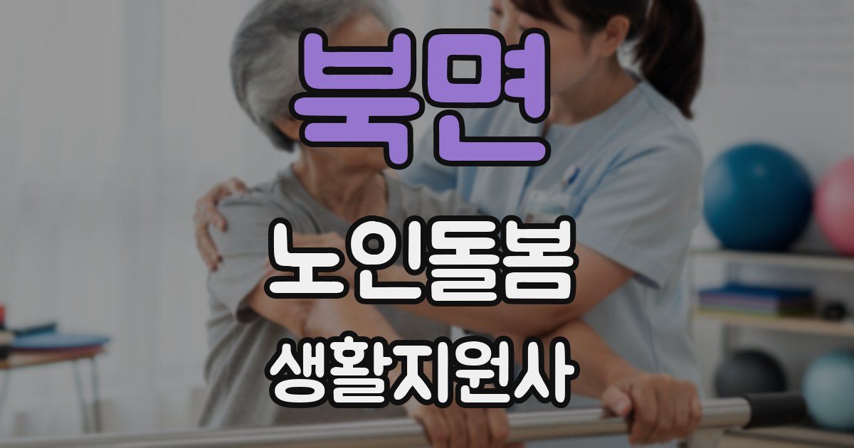북면 노인돌봄생활지원사 자격증
