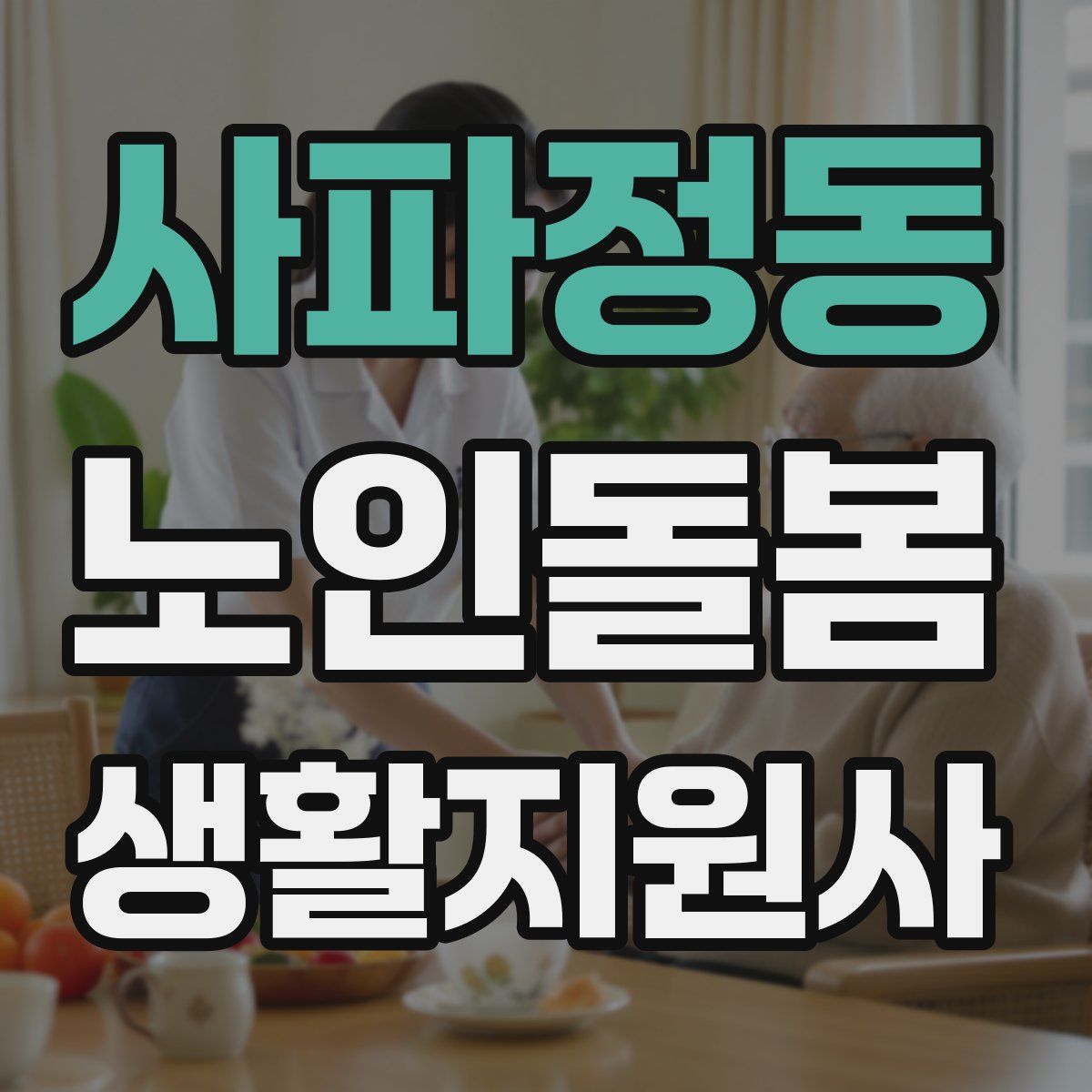 사파정동 노인돌봄생활지원사 자격증