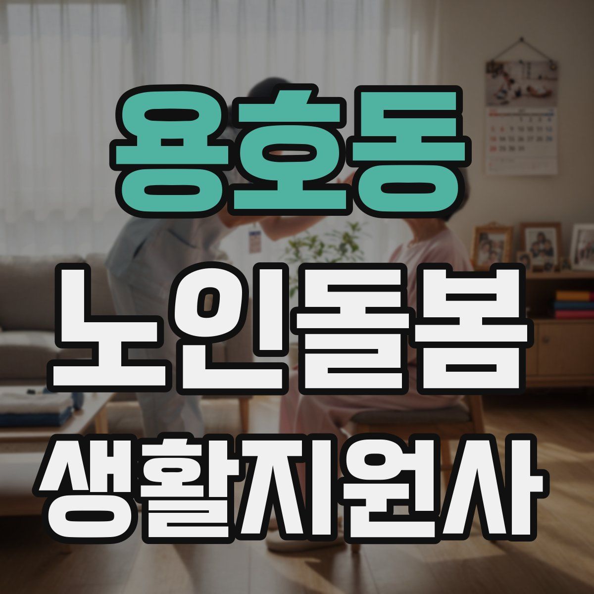 용호동 노인돌봄생활지원사 자격증