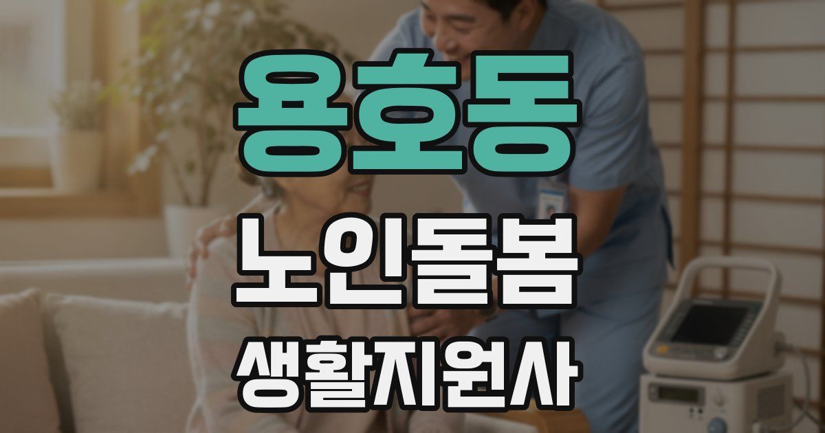 용호동 노인돌봄생활지원사 자격증