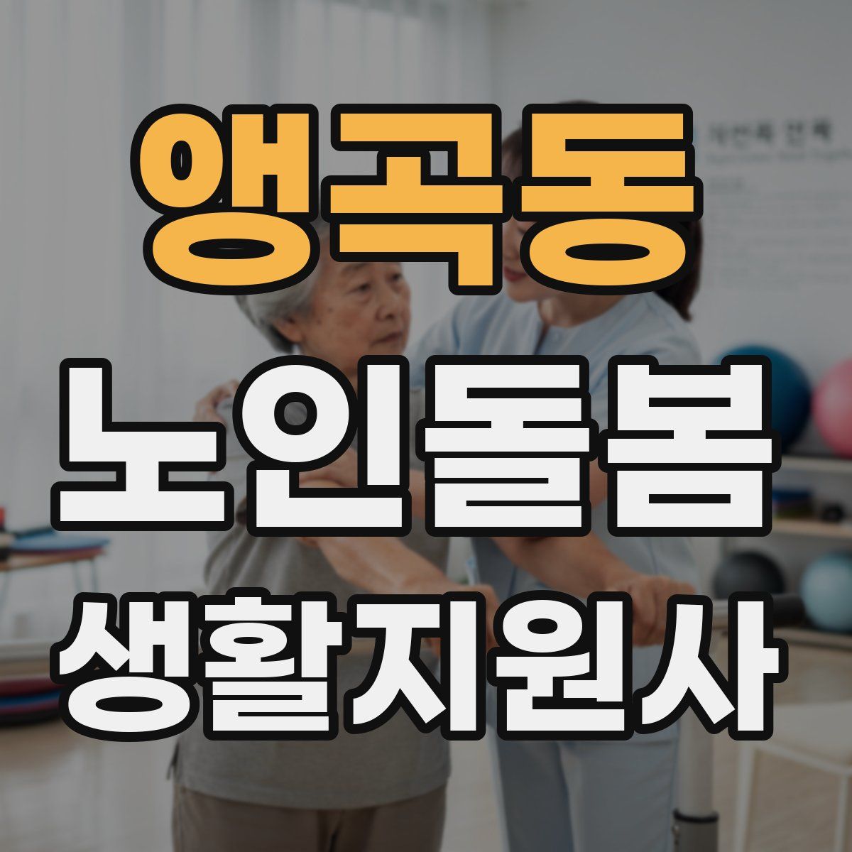 앵곡동 노인돌봄생활지원사 자격증