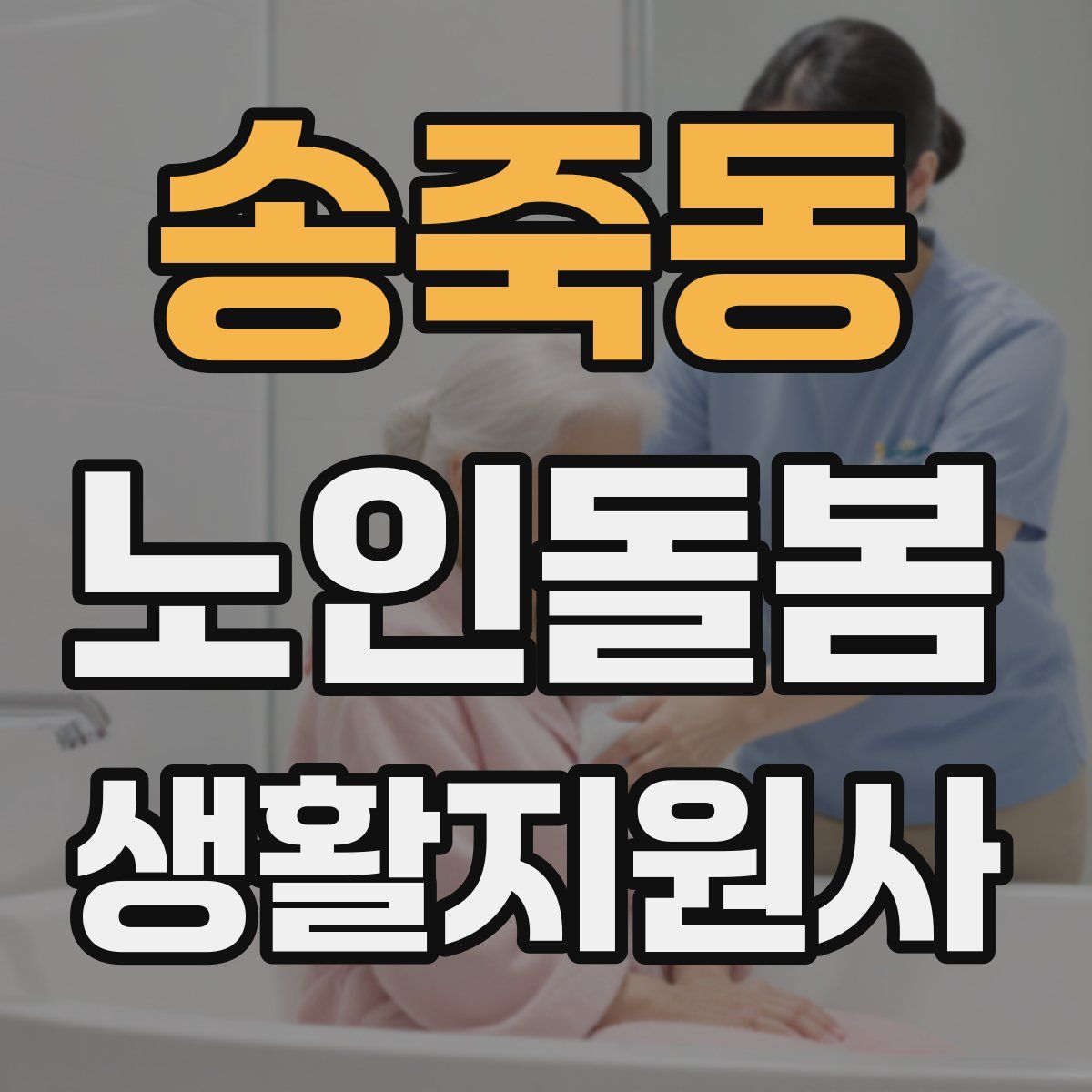 송죽동 노인돌봄생활지원사 자격증
