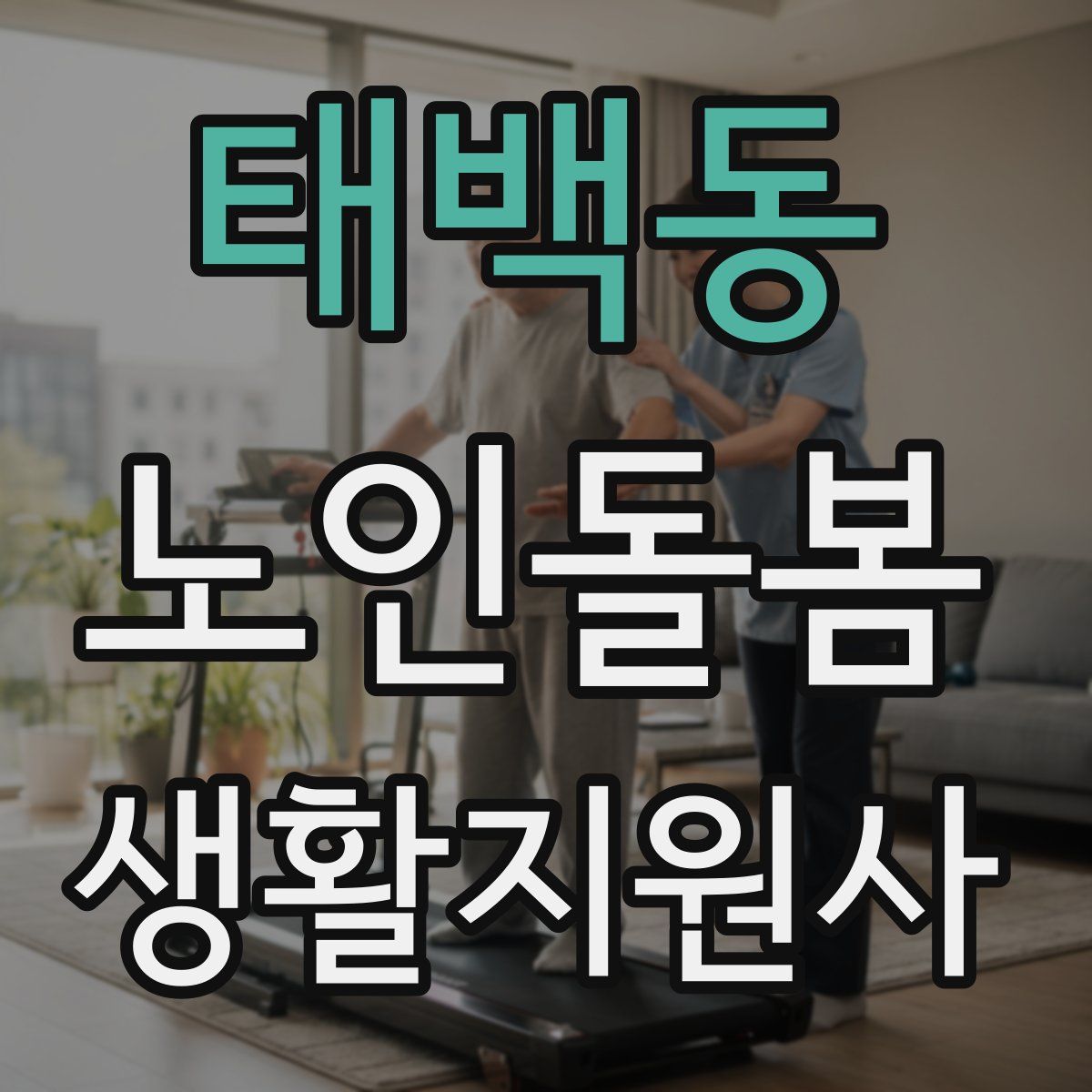 태백동 노인돌봄생활지원사 자격증