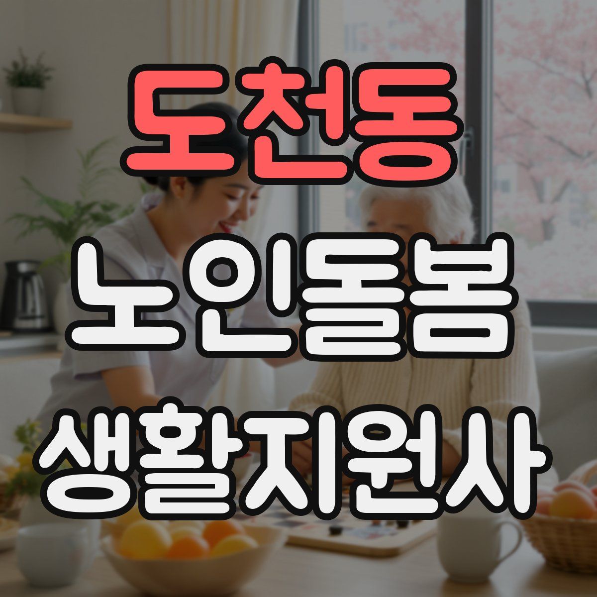 도천동 노인돌봄생활지원사 자격증
