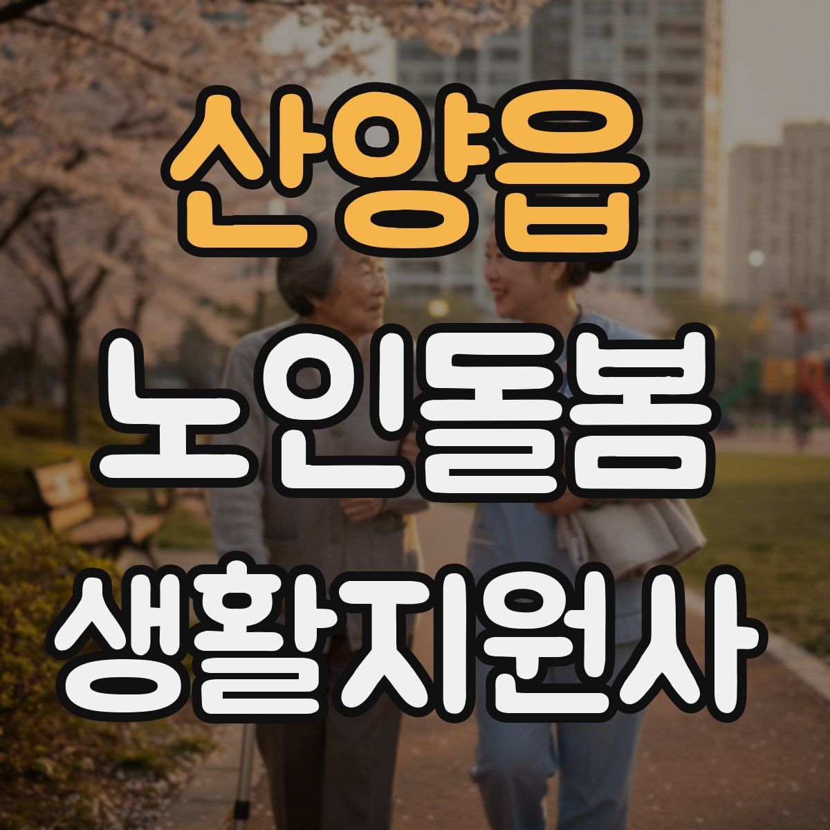 산양읍 노인돌봄생활지원사 자격증