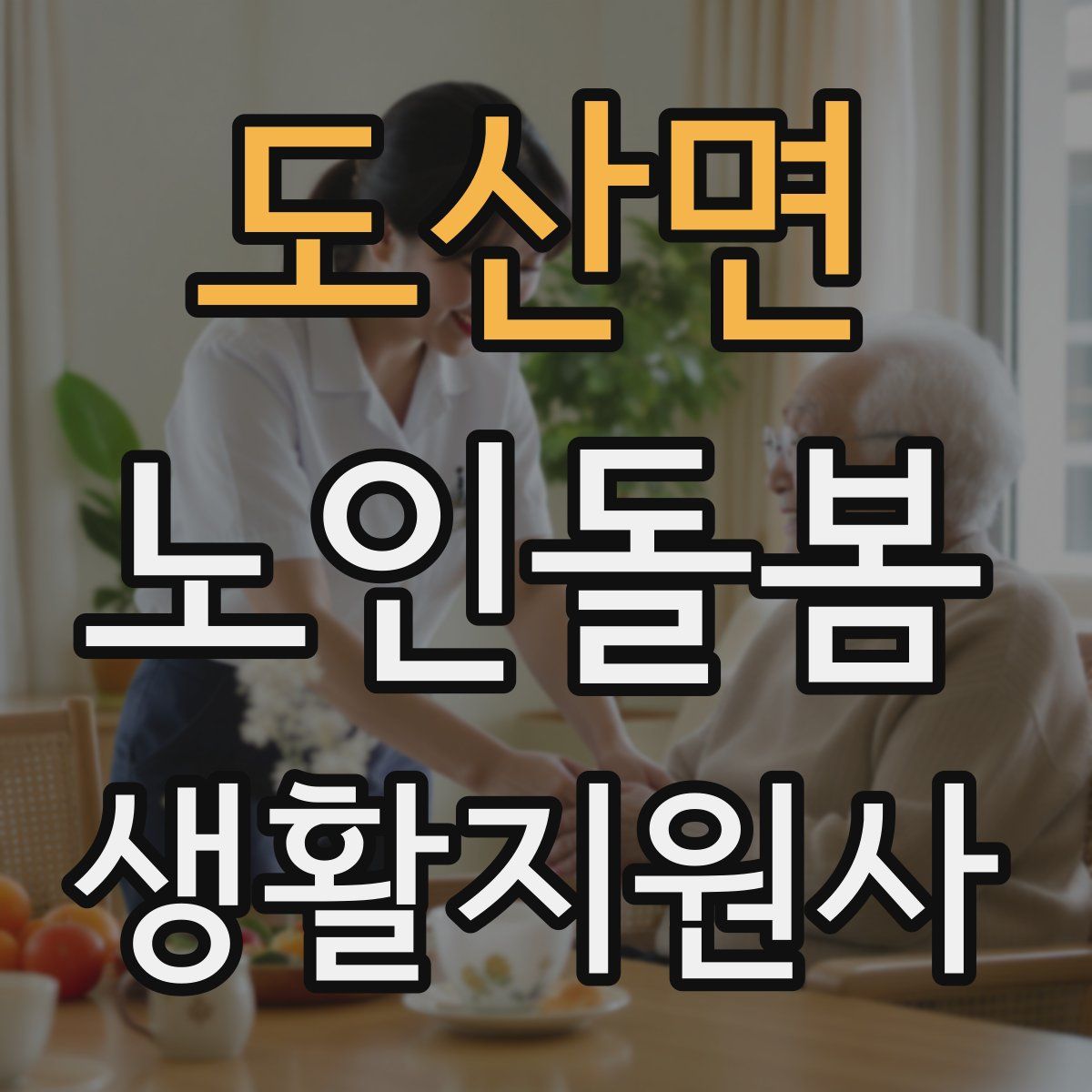 도산면 노인돌봄생활지원사 자격증
