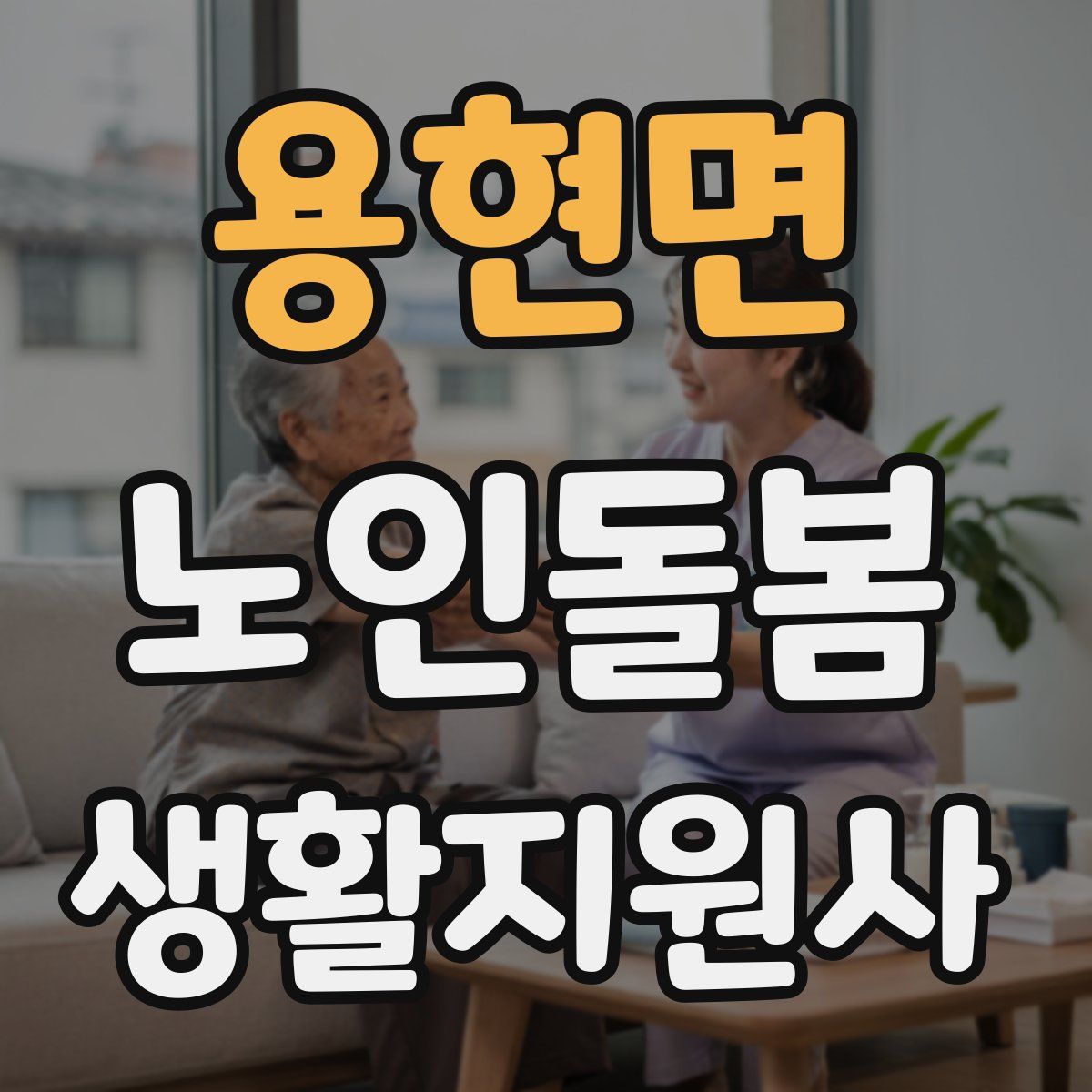 용현면 노인돌봄생활지원사 자격증