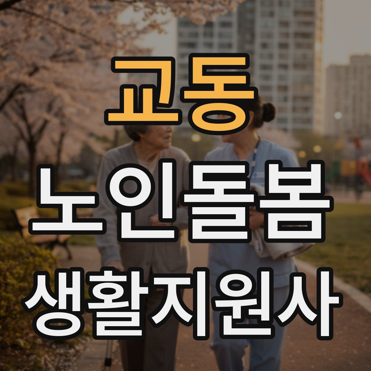교동 노인돌봄생활지원사 자격증