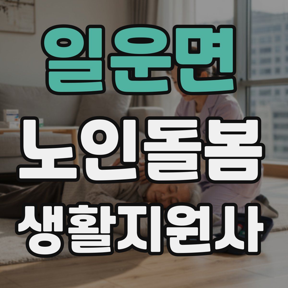 일운면 노인돌봄생활지원사 자격증