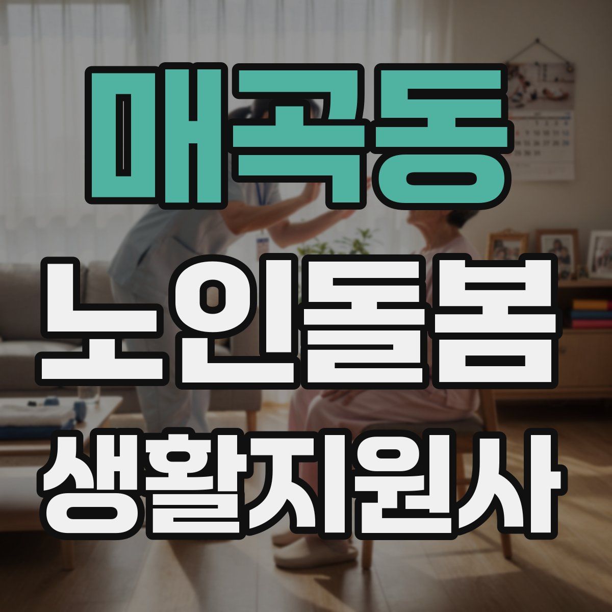 매곡동 노인돌봄생활지원사 자격증