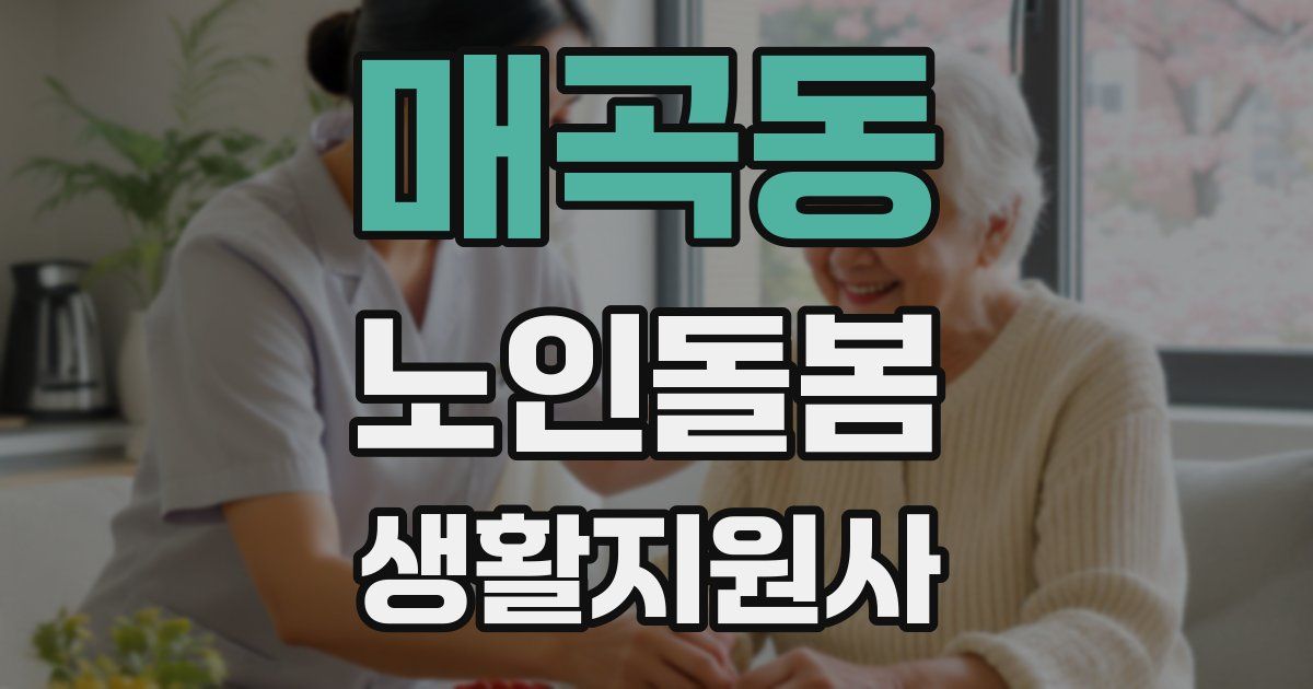 매곡동 노인돌봄생활지원사 자격증