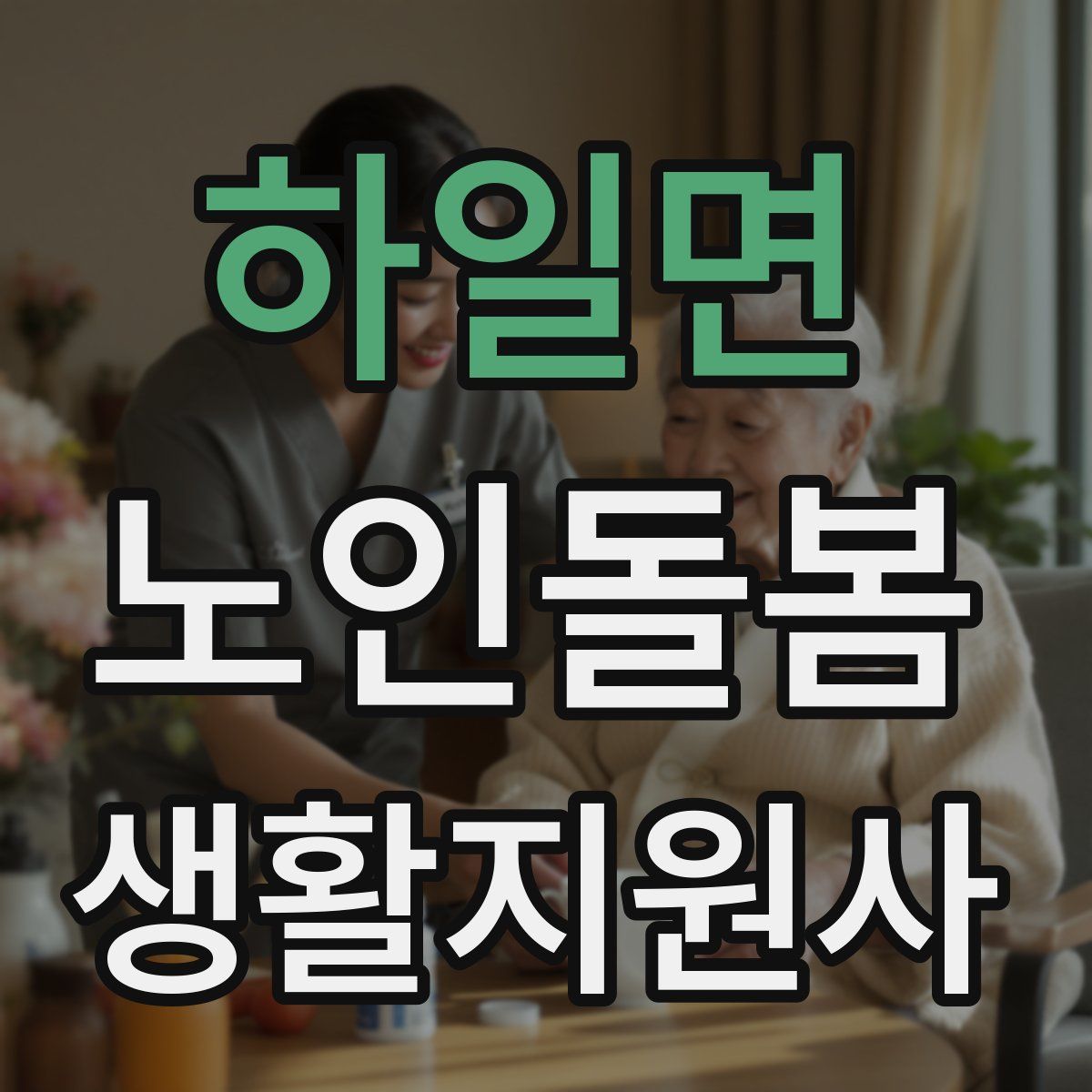 하일면 노인돌봄생활지원사 자격증