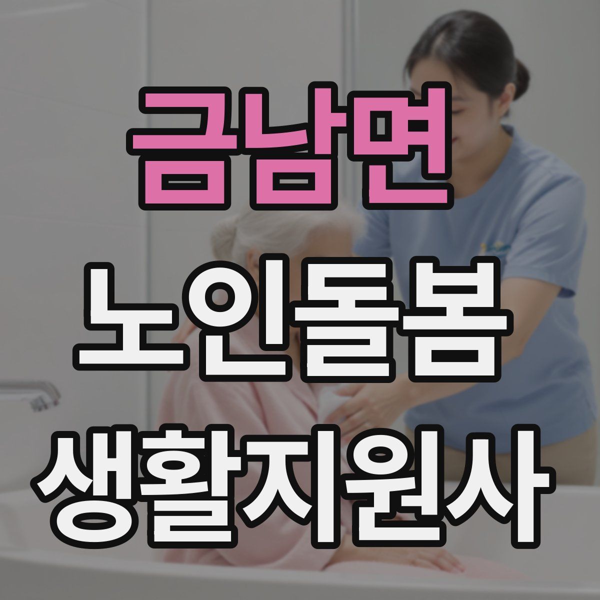 금남면 노인돌봄생활지원사 자격증