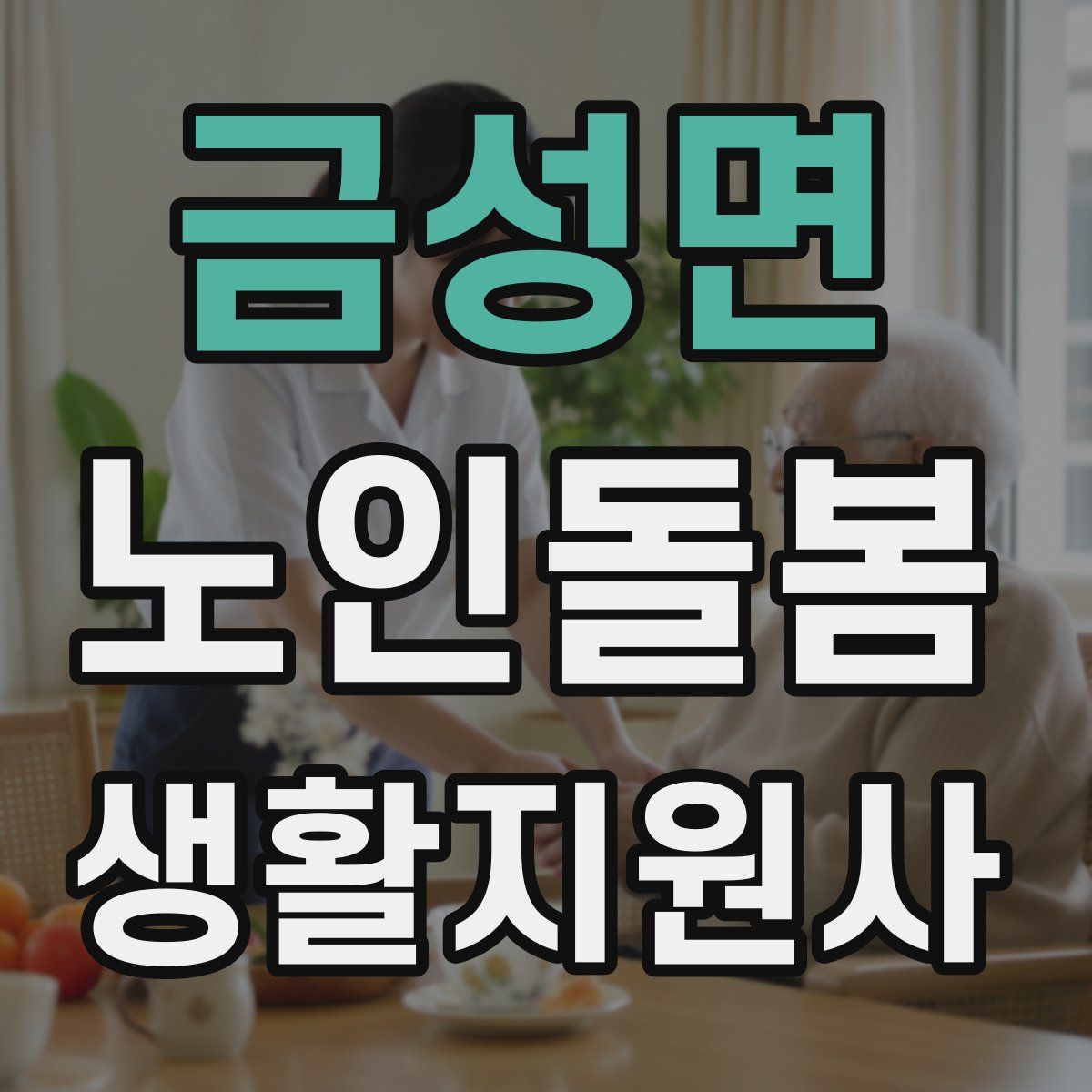 금성면 노인돌봄생활지원사 자격증