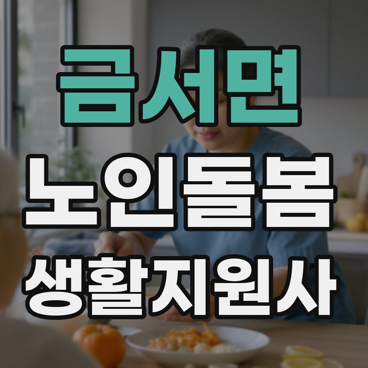 금서면 노인돌봄생활지원사 자격증