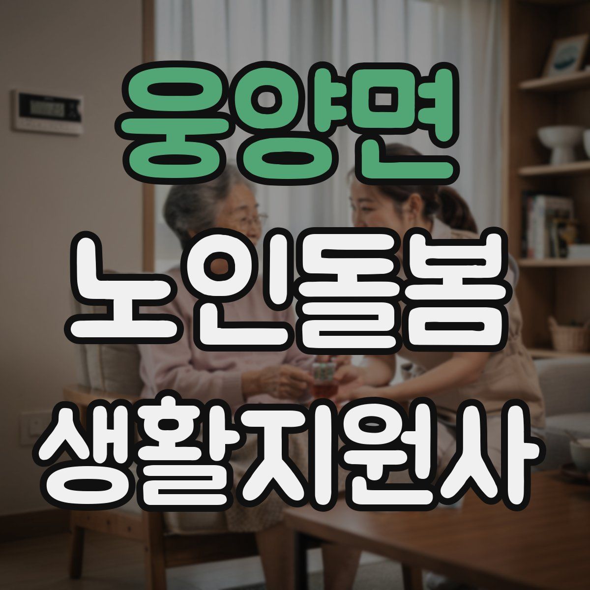 웅양면 노인돌봄생활지원사 자격증