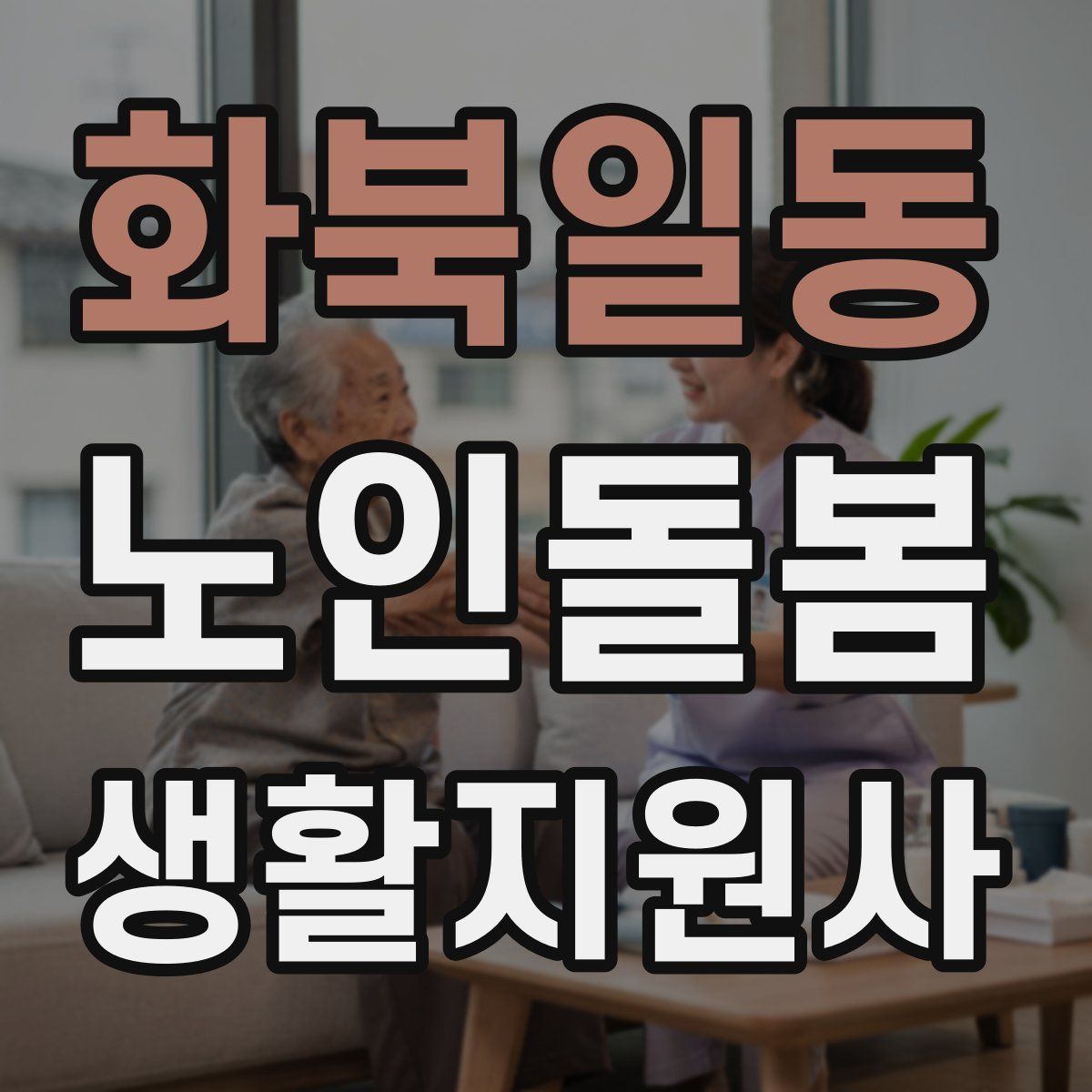 화북일동 노인돌봄생활지원사 자격증