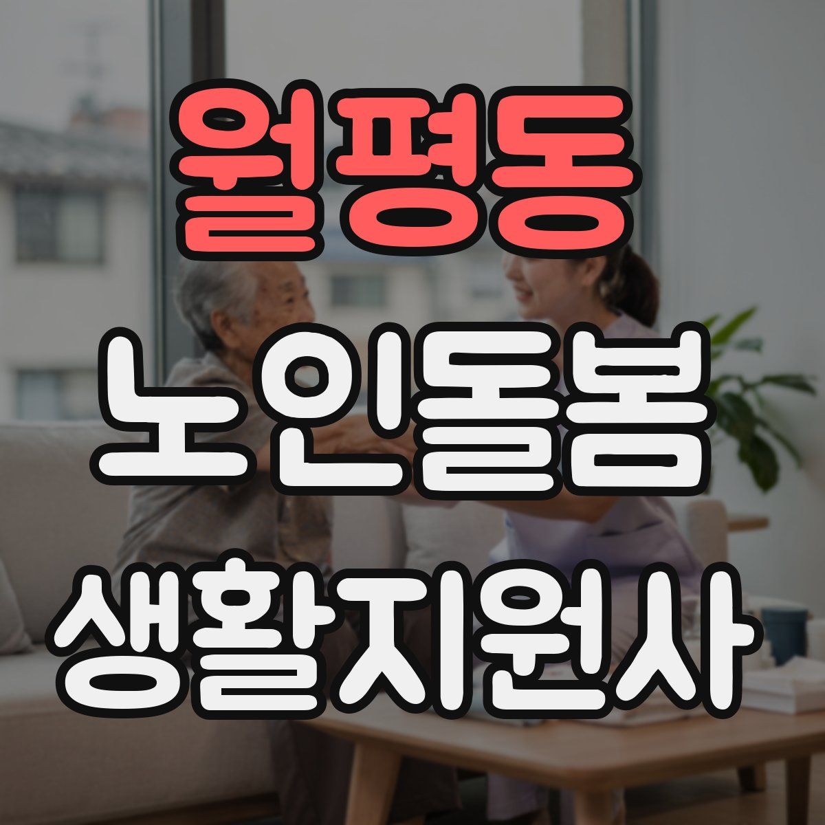 월평동 노인돌봄생활지원사 자격증