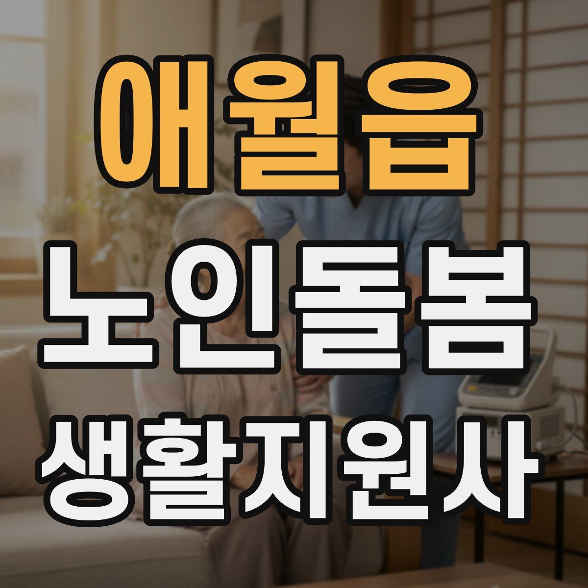 애월읍 노인돌봄생활지원사 자격증