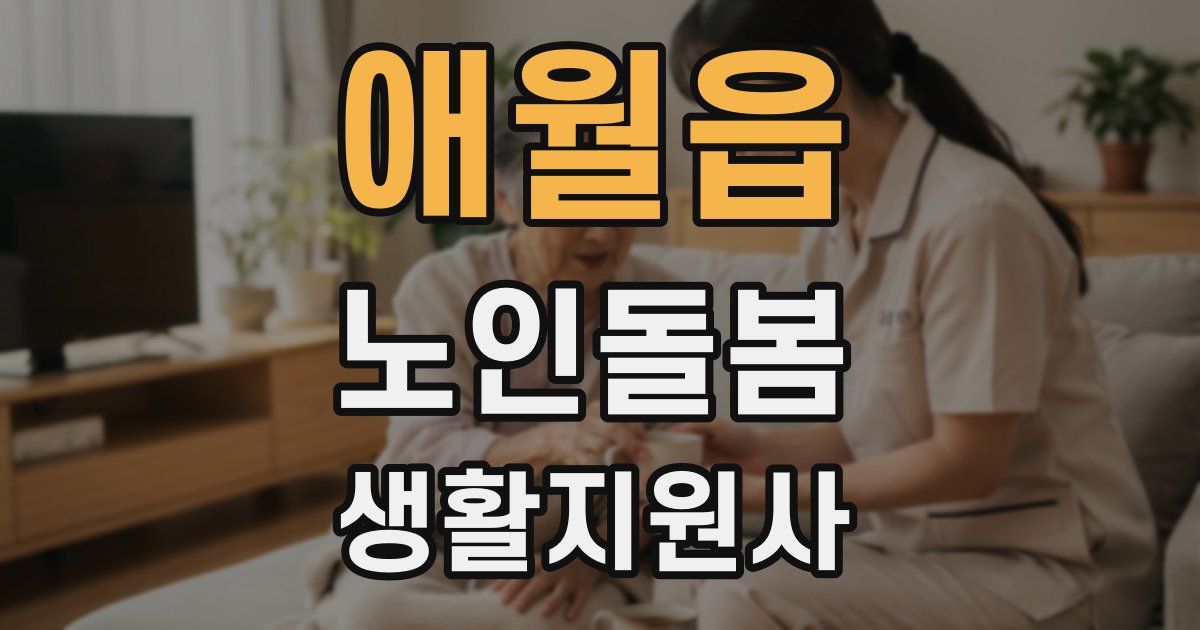 애월읍 노인돌봄생활지원사 자격증