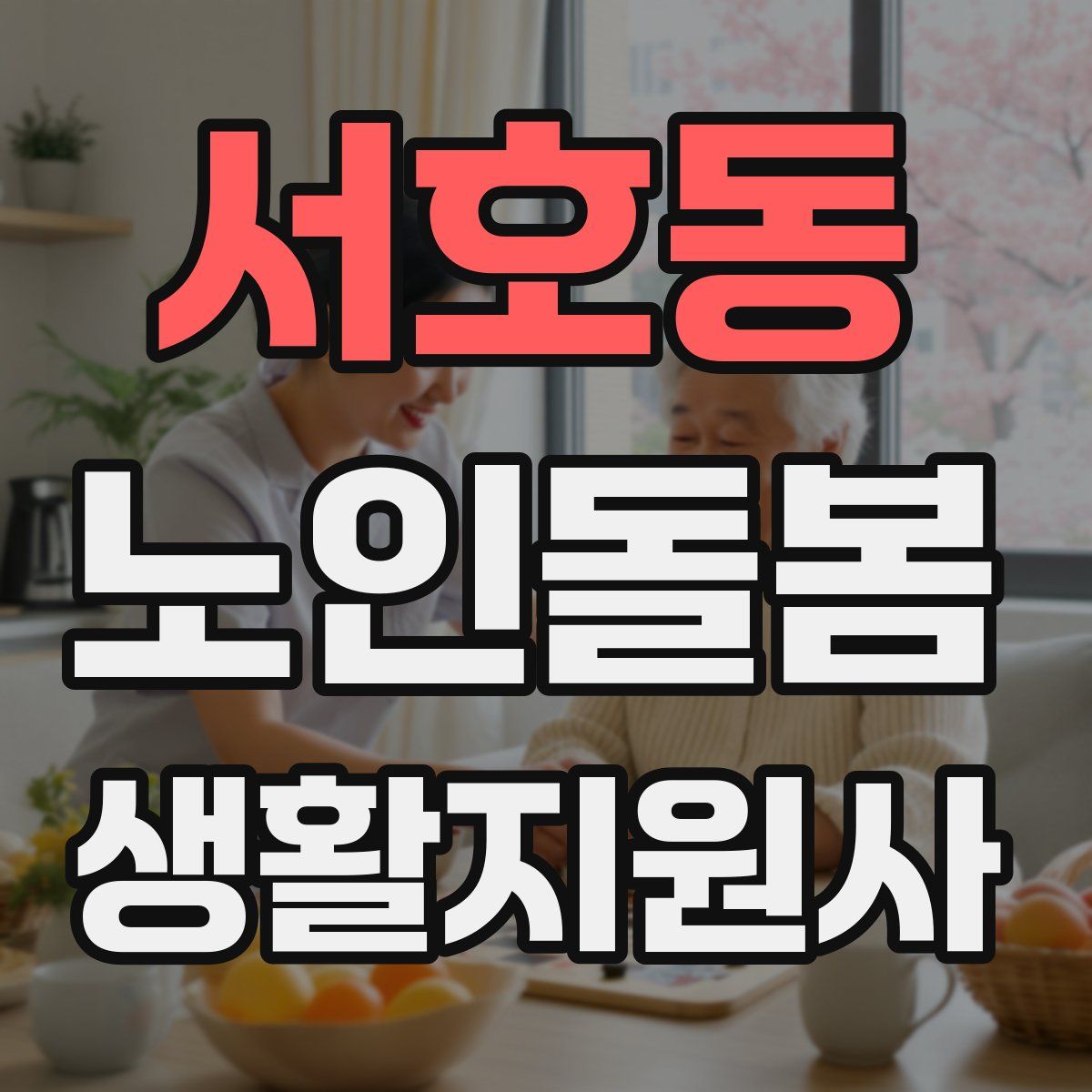 서호동 노인돌봄생활지원사 자격증