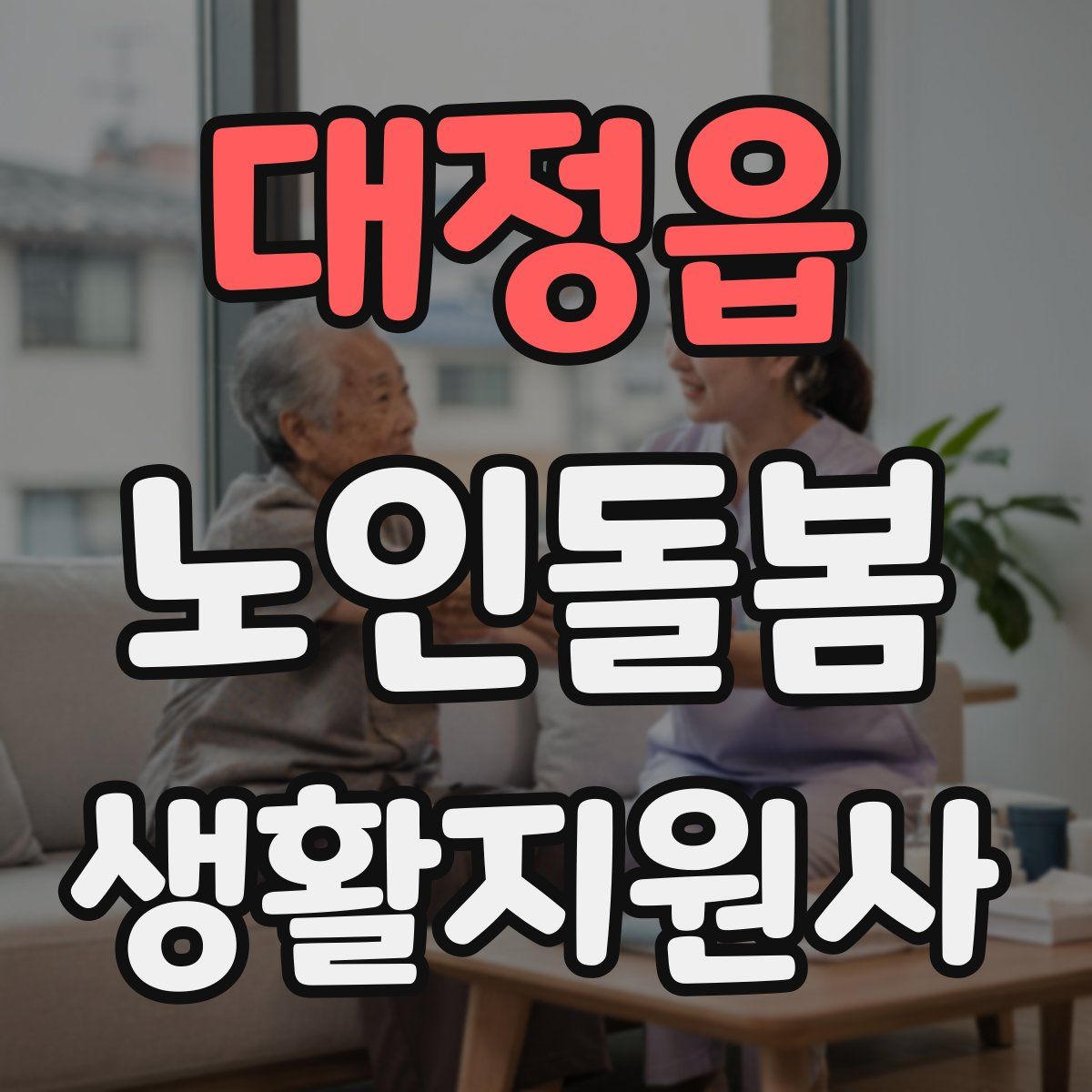 대정읍 노인돌봄생활지원사 자격증