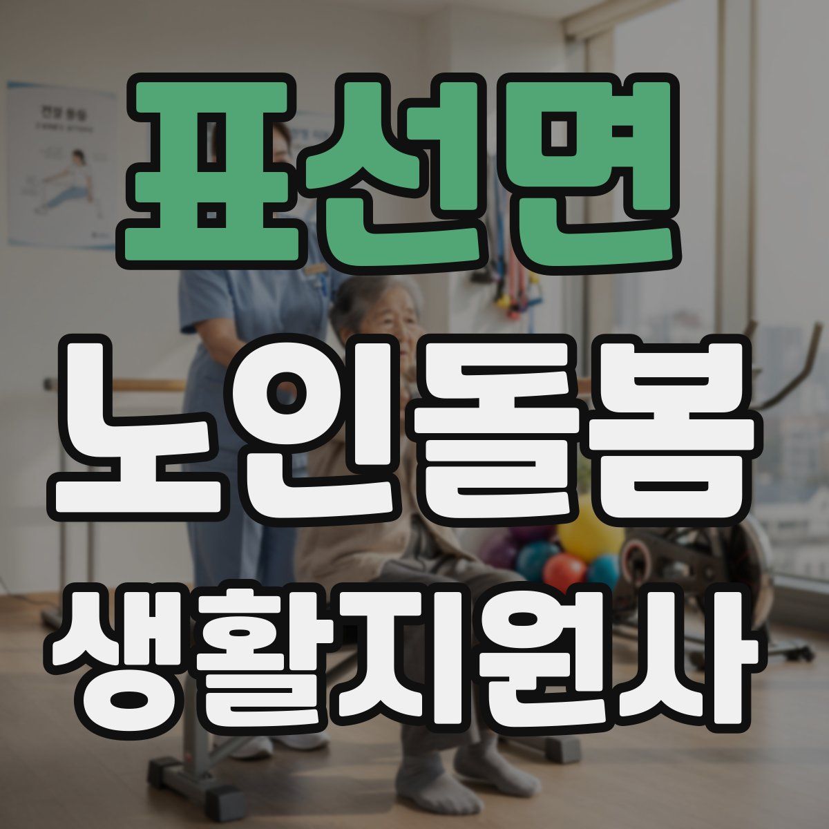 표선면 노인돌봄생활지원사 자격증