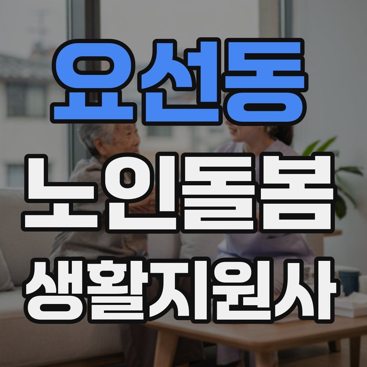 요선동 노인돌봄생활지원사 자격증 장보기 대금 결제 요청이 있을 때 주의