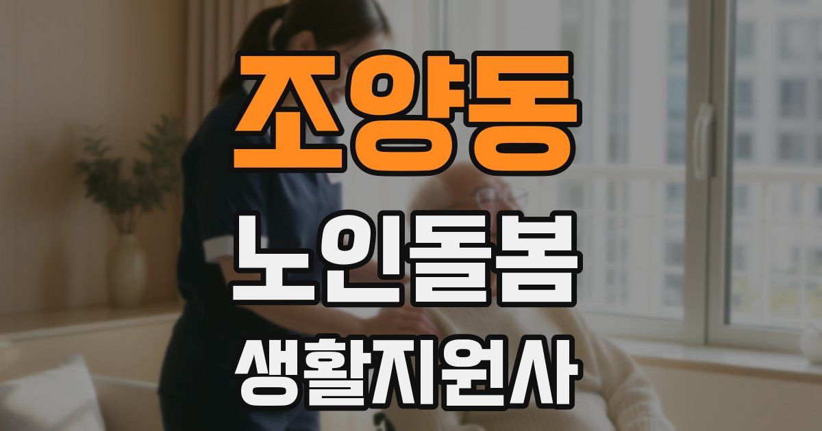 조양동 노인돌봄생활지원사 자격증
