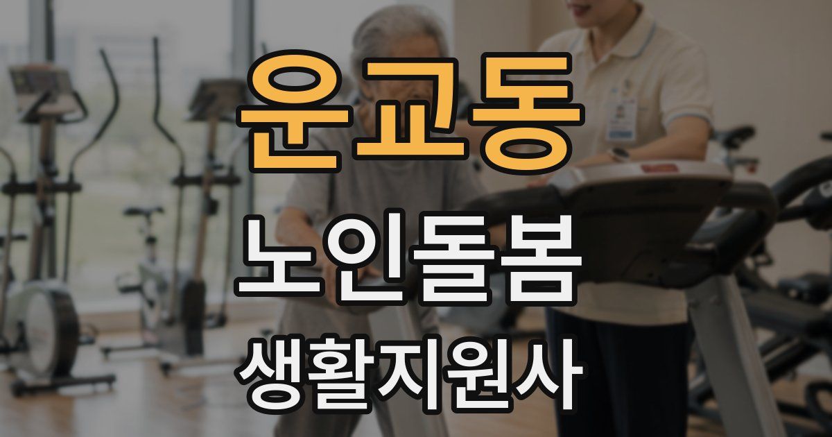 운교동 노인돌봄생활지원사 자격증