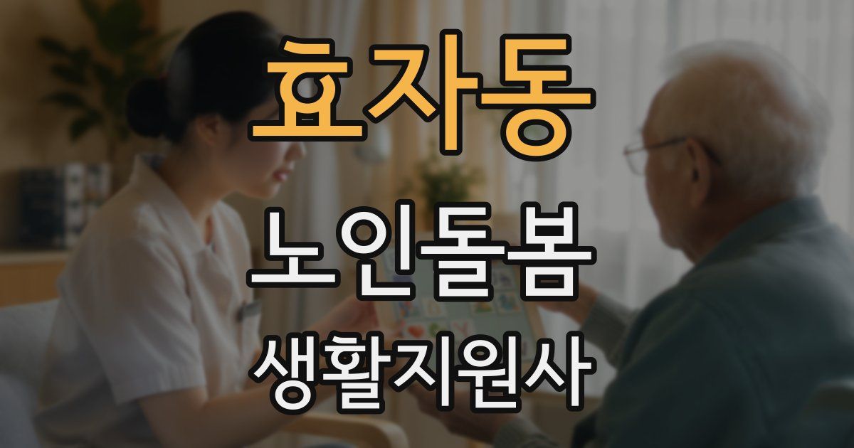 효자동 노인돌봄생활지원사 자격증