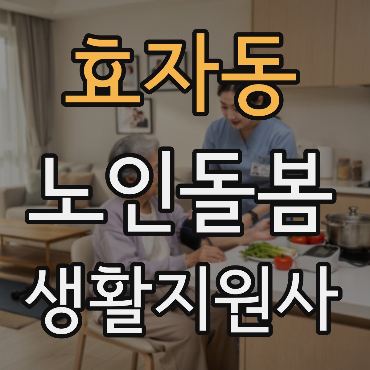 효자동 노인돌봄생활지원사 자격증