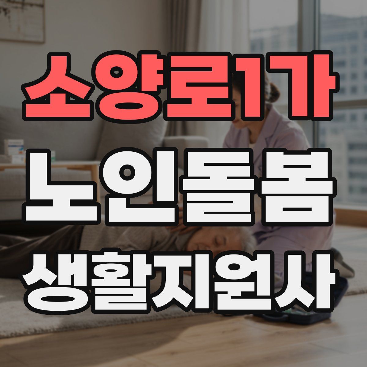 소양로1가 노인돌봄생활지원사 자격증