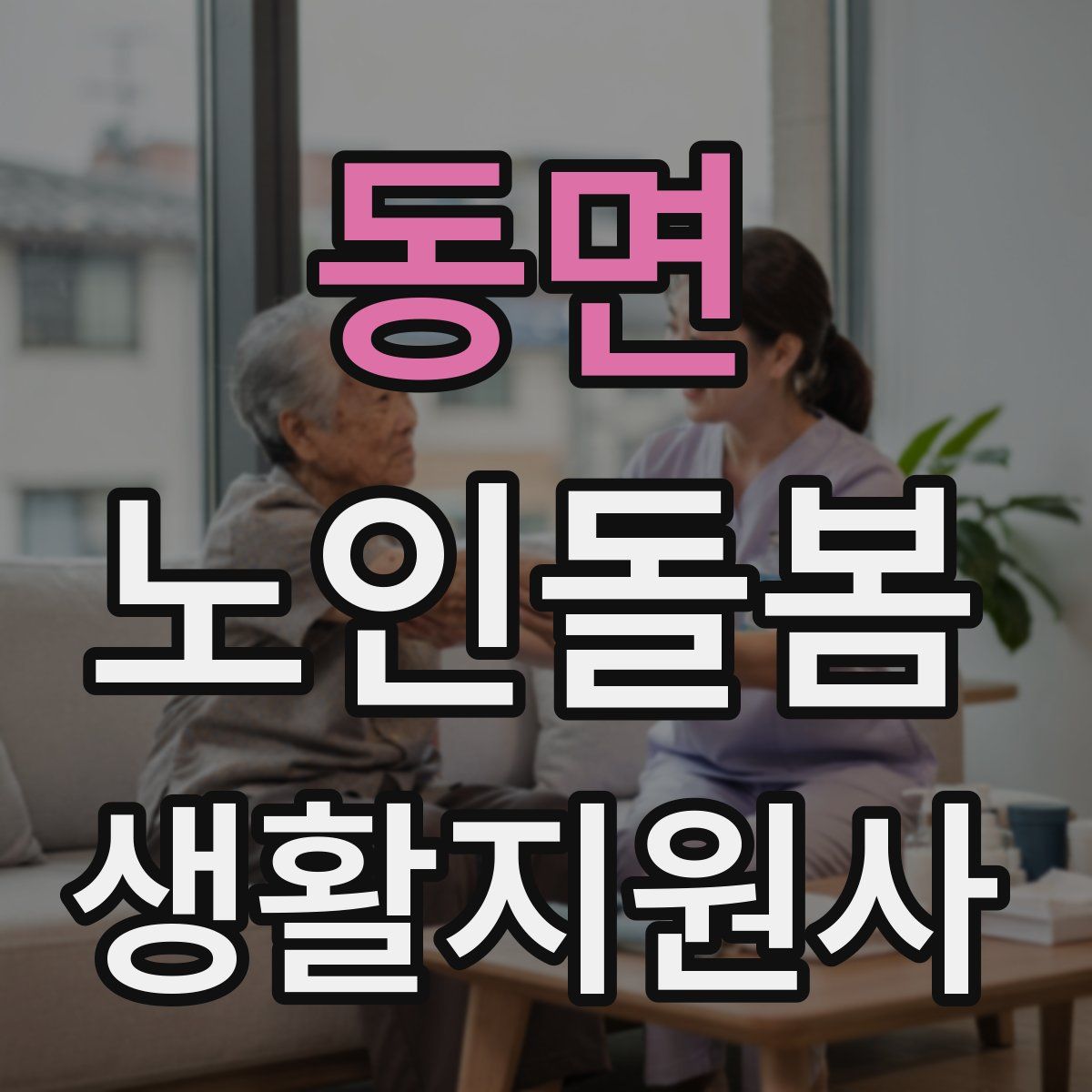동면 노인돌봄생활지원사 자격증