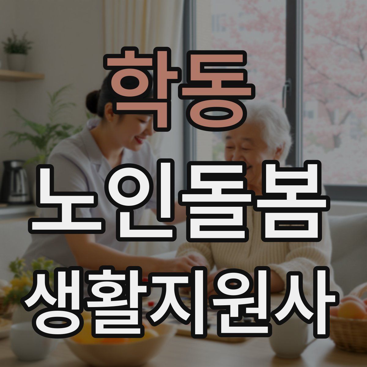 학동 노인돌봄생활지원사 자격증