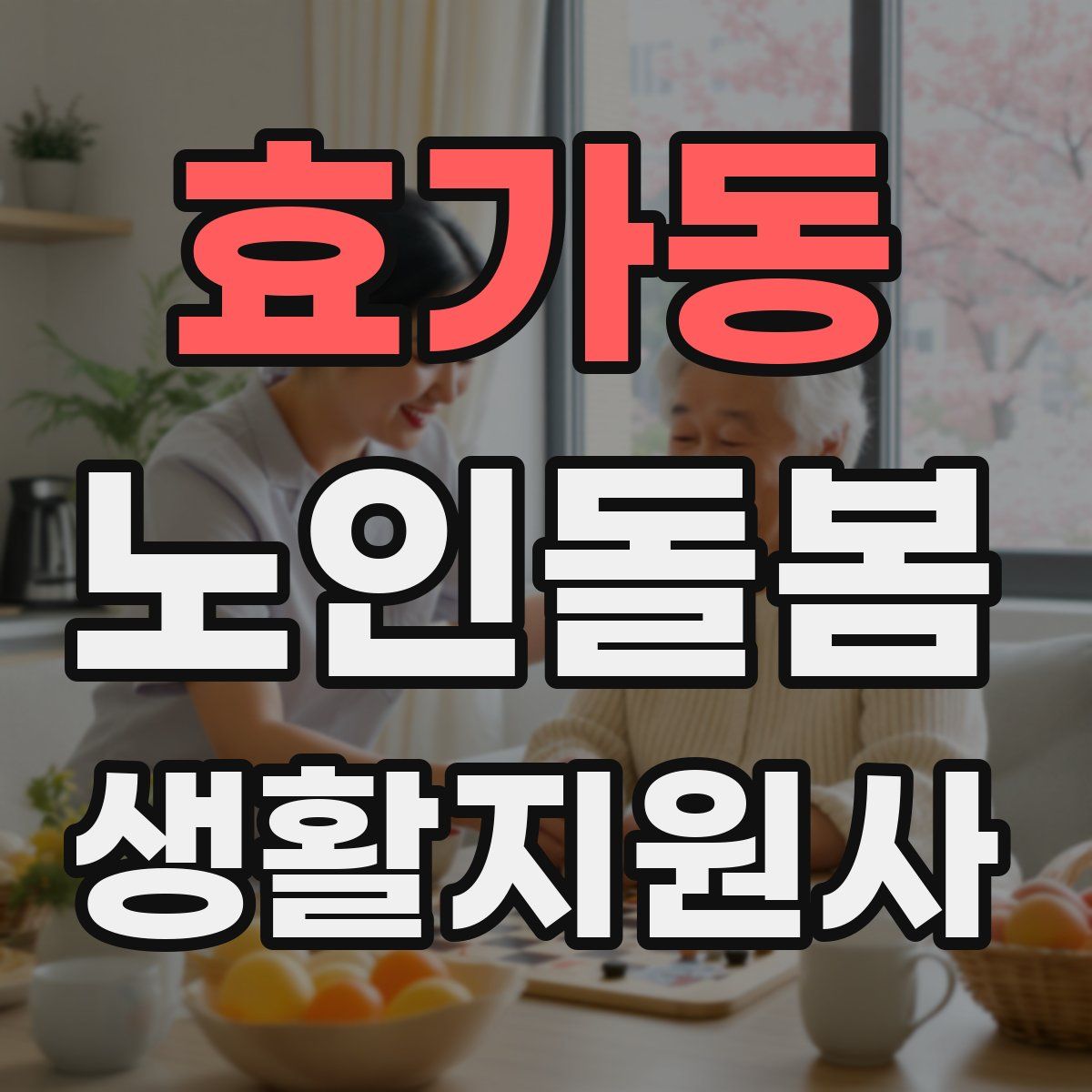 효가동 노인돌봄생활지원사 자격증