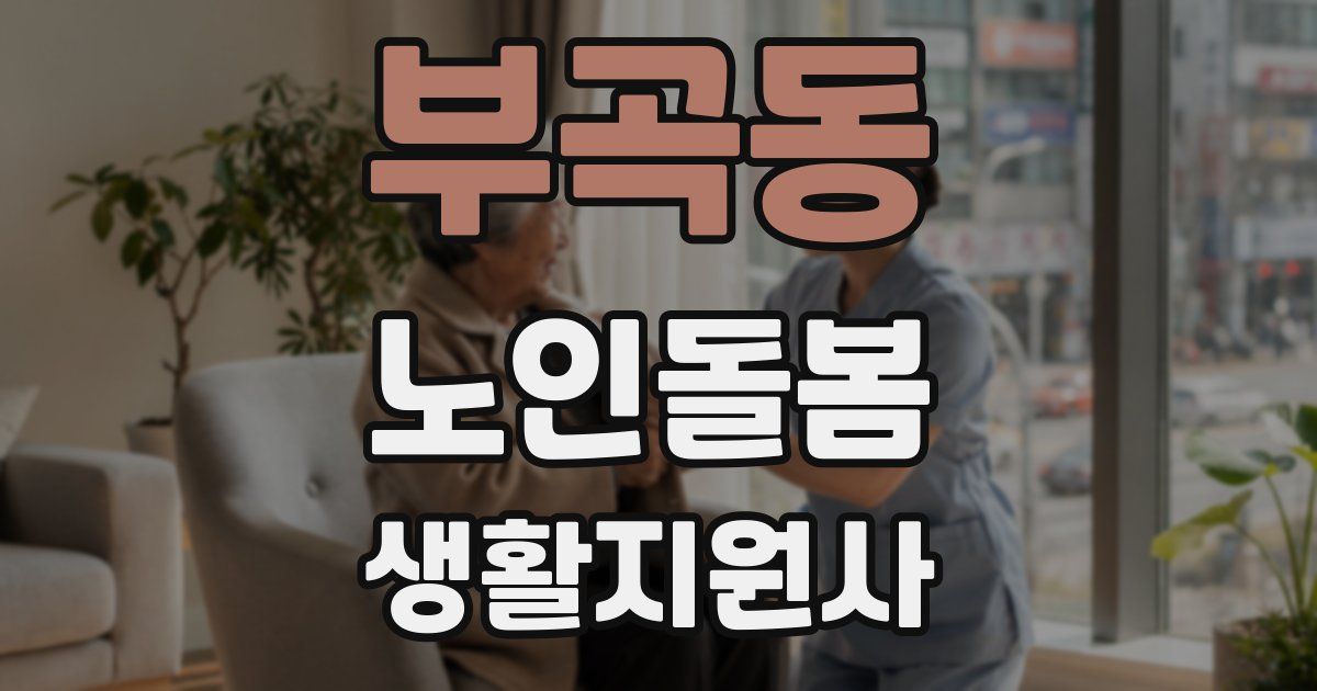 부곡동 노인돌봄생활지원사 자격증
