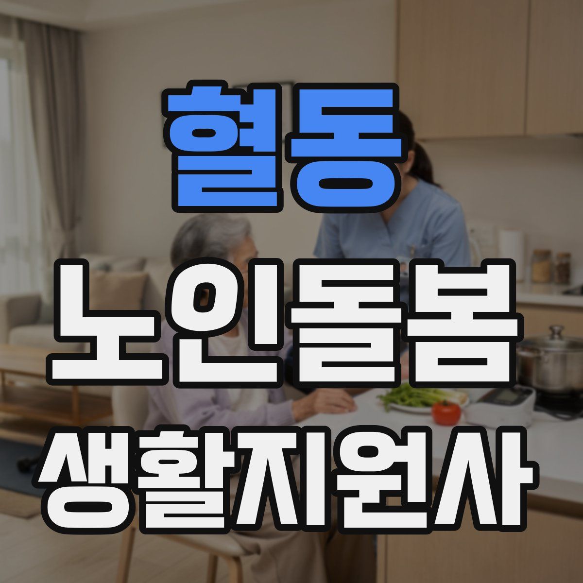 혈동 노인돌봄생활지원사 자격증