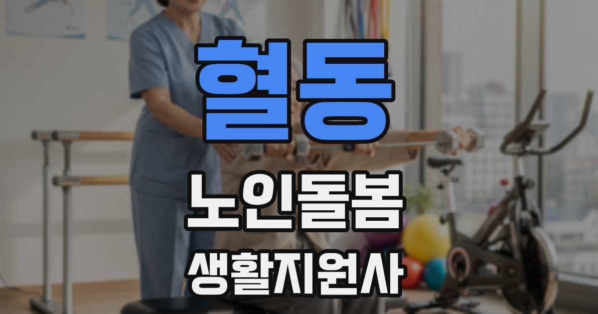 혈동 노인돌봄생활지원사 자격증